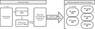 Determination of temperature-dependent otolith oxygen stable isotope fractionation on chum salmon Oncorhynchus keta based on rearing experiment